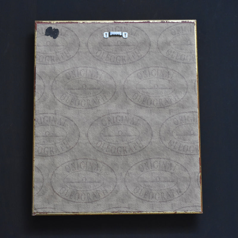 ヴィンテージ絵付きフレーム OLEOGRAPH プリント 鳥