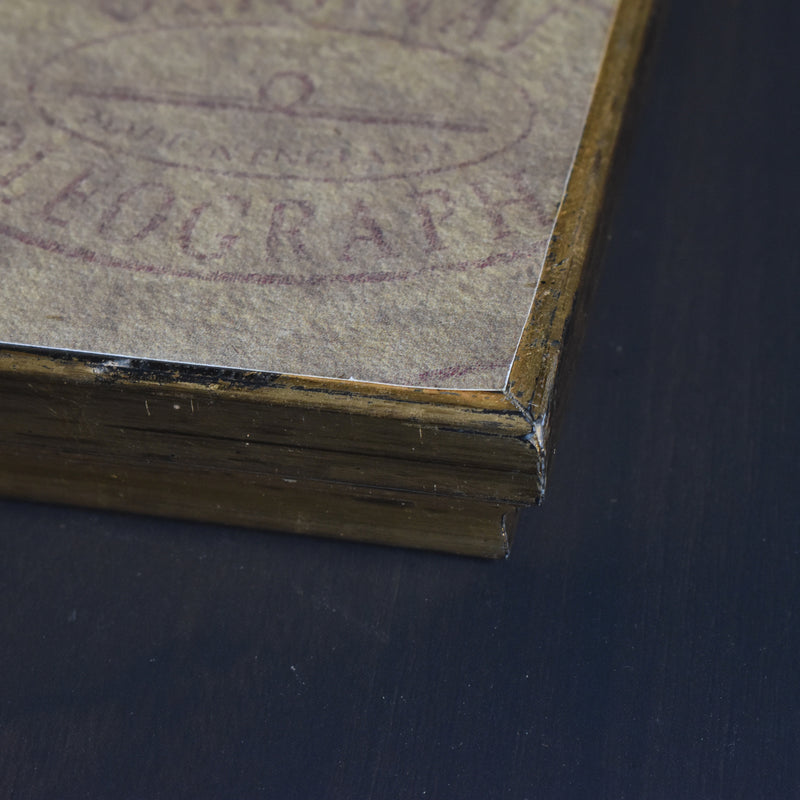 ヴィンテージ絵付きフレーム OLEOGRAPH プリント フラワー