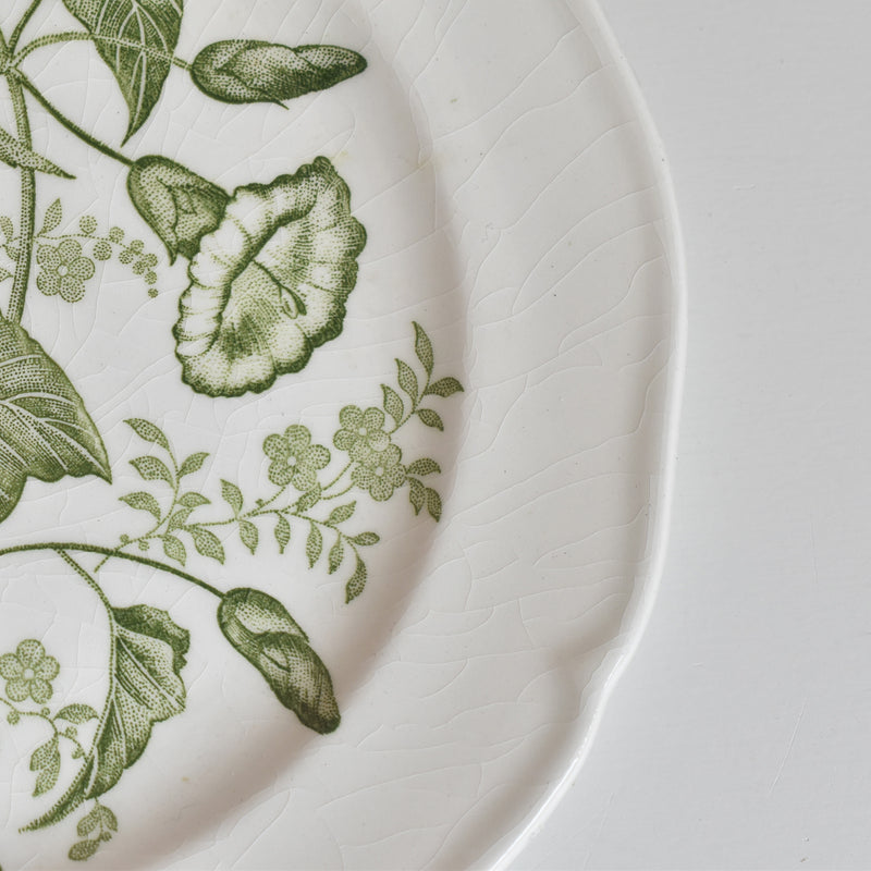 Vintage dessert plate Gien Liseron des Haies (bindweed) A