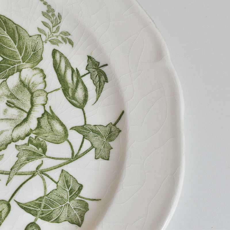 Vintage dessert plate Gien Liseron des Haies (bindweed) A