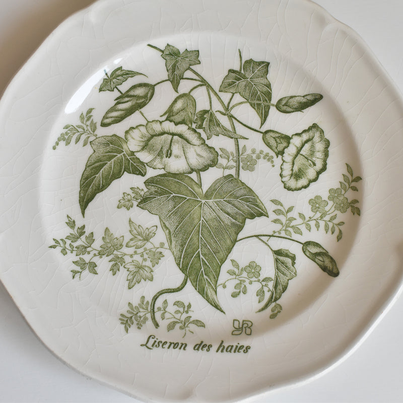 Vintage dessert plate Gien Liseron des Haies (bindweed) A