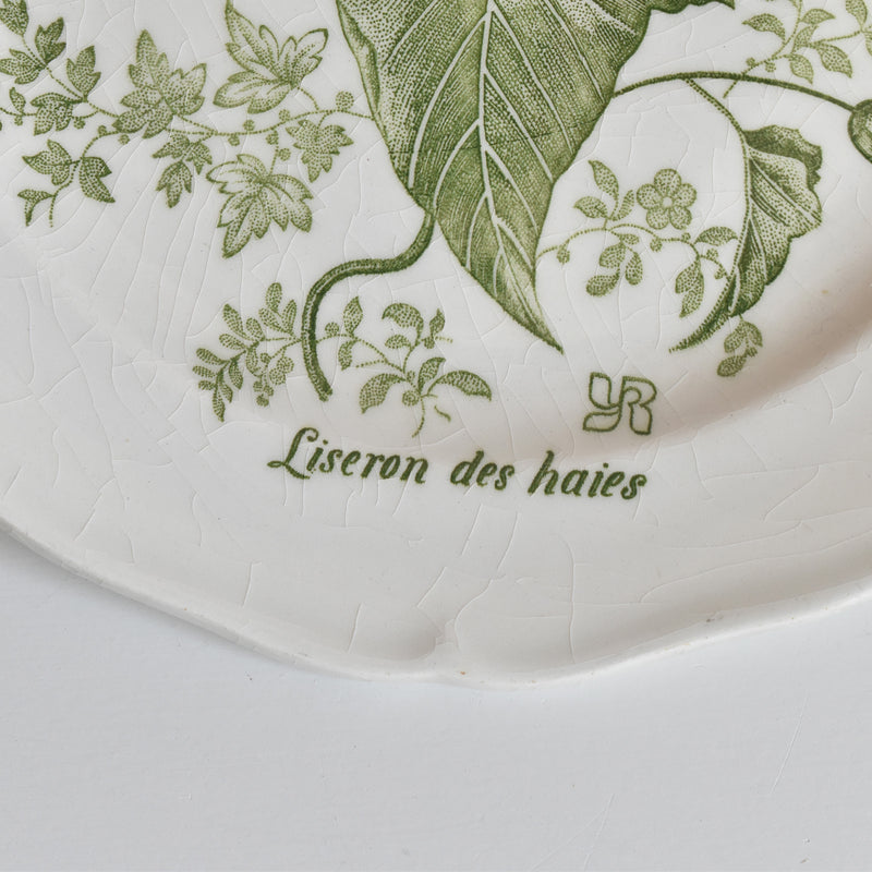 Vintage dessert plate Gien Liseron des Haies (bindweed) A