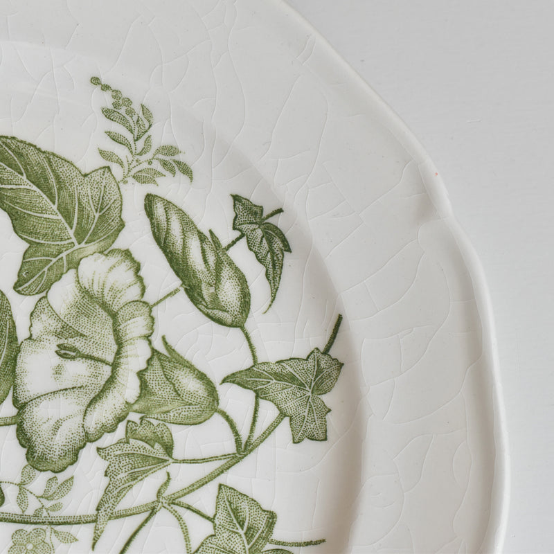 Vintage Dessert Plate, Gien Liseron des Haies (Bindweed) B