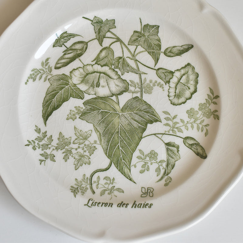 Vintage Dessert Plate, Gien Liseron des Haies (Bindweed) B