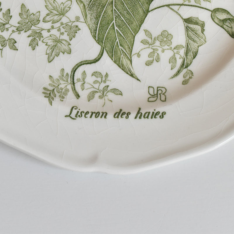 Vintage Dessert Plate, Gien Liseron des Haies (Bindweed) B