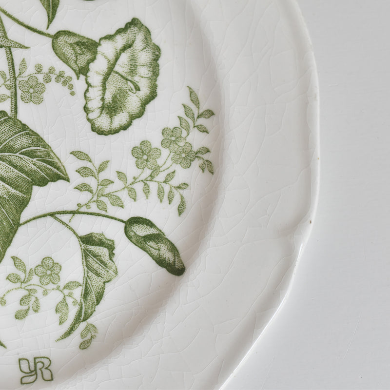 Vintage Dessert Plate Gien Liseron des Haies