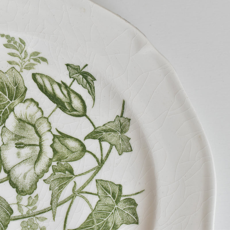 Vintage Dessert Plate Gien Liseron des Haies