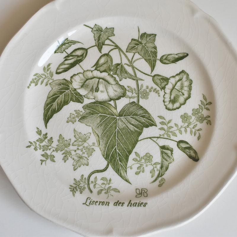 Vintage Dessert Plate Gien Liseron des Haies