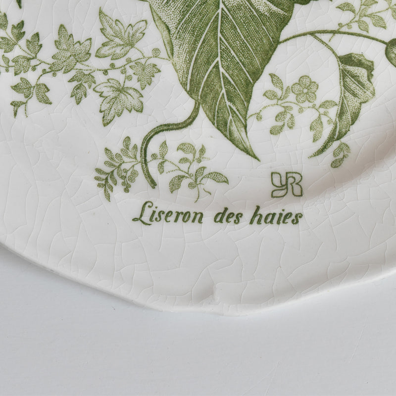 Vintage Dessert Plate Gien Liseron des Haies
