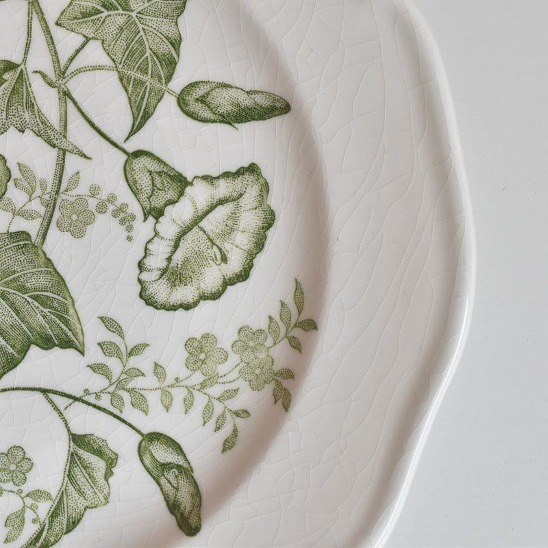 Vintage Dessert Plate Gien Liseron des Haies (Bindweed) D