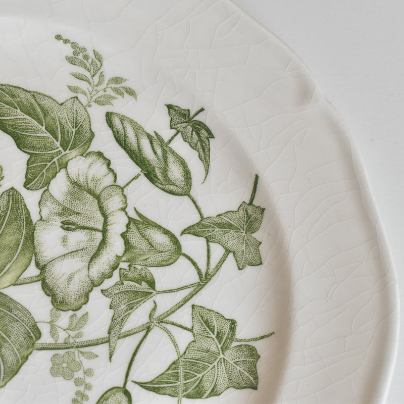 Vintage Dessert Plate Gien Liseron des Haies (Bindweed) D
