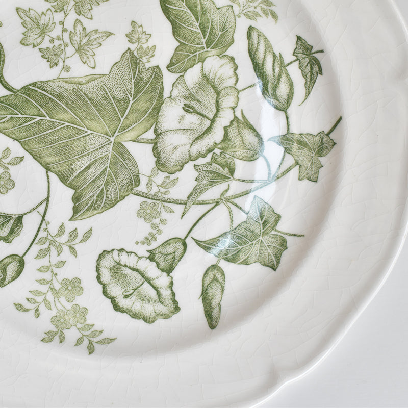 Vintage Dessert Plate Gien Liseron des Haies (Bindweed) D
