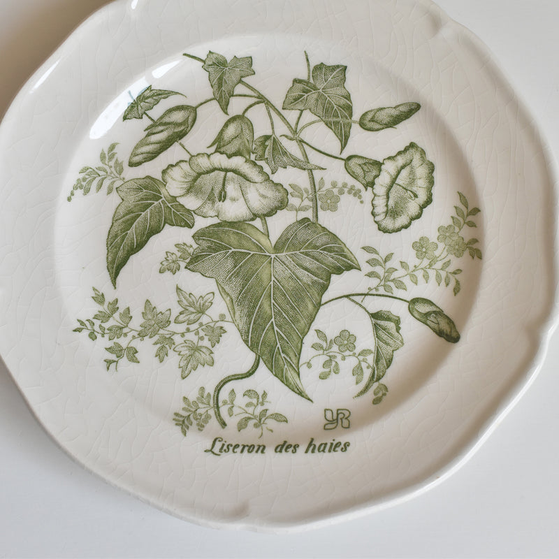 Vintage Dessert Plate Gien Liseron des Haies (Bindweed) D