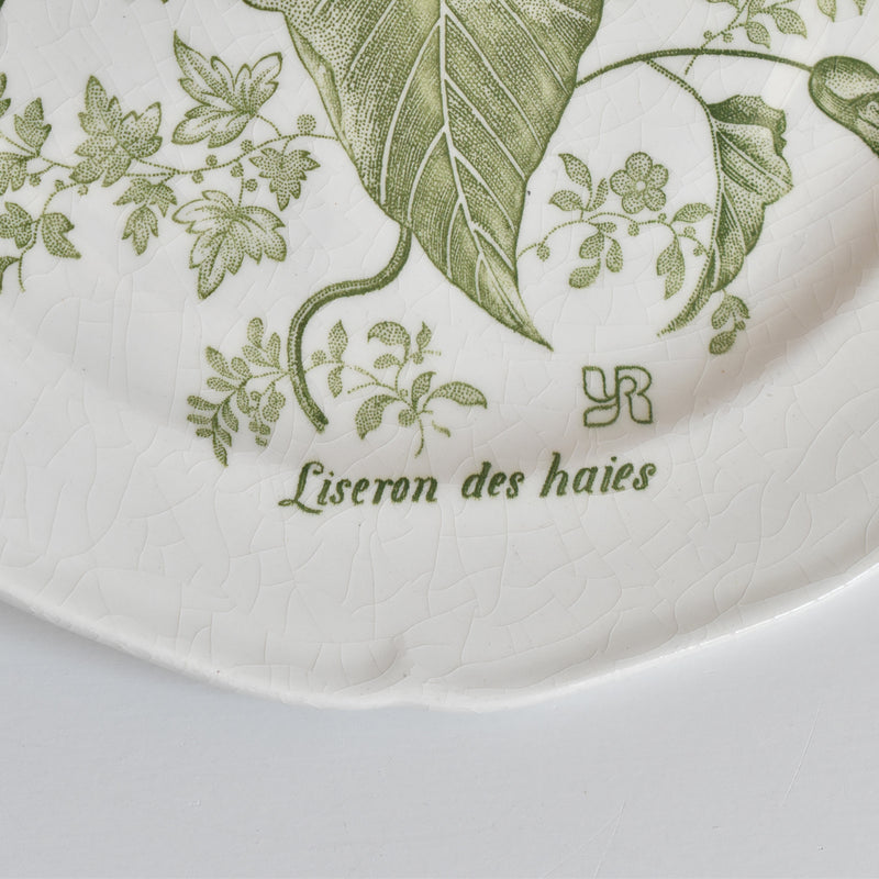 Vintage Dessert Plate Gien Liseron des Haies (Bindweed) D