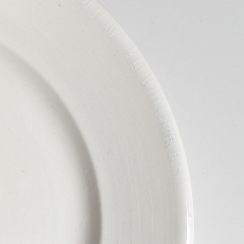 Vintage Plate, Digoin & Sarreguemines, Epaisse B