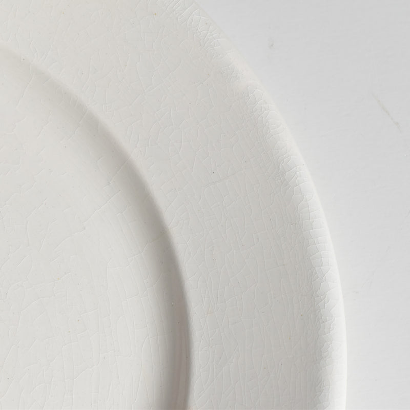 Vintage Plate Digoin & Sarreguemines Epaisse C