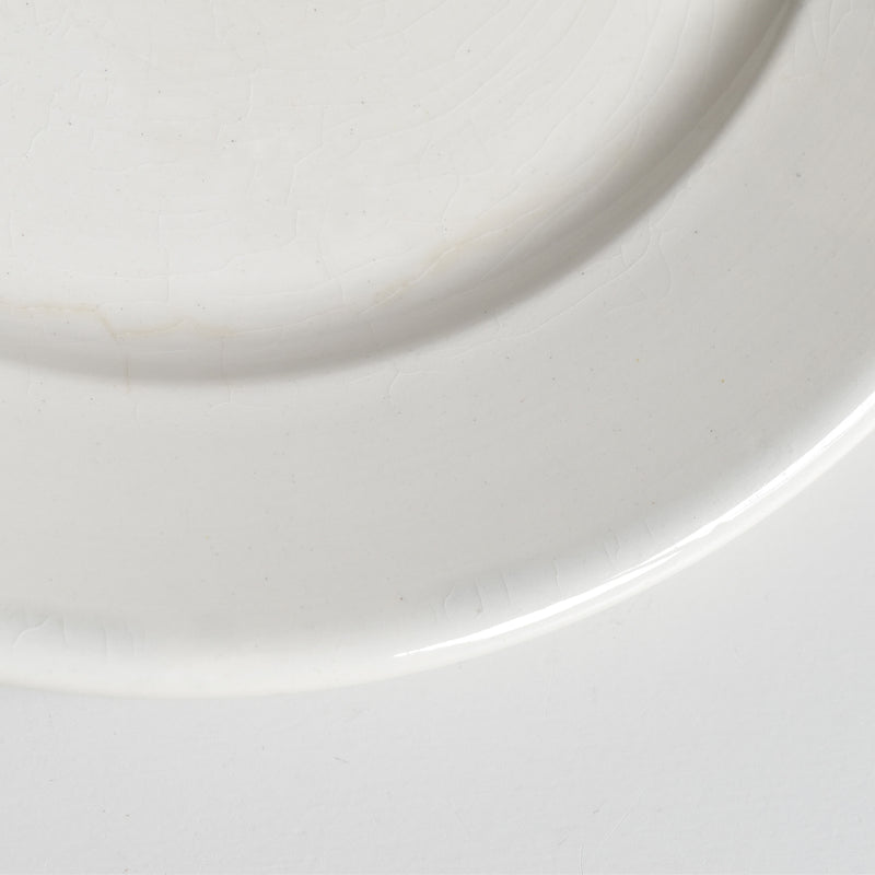 Vintage Plate Digoin & Sarreguemines Epaisse C