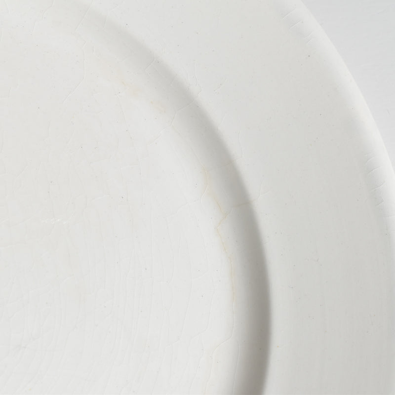 Vintage Plate Digoin & Sarreguemines Epaisse C