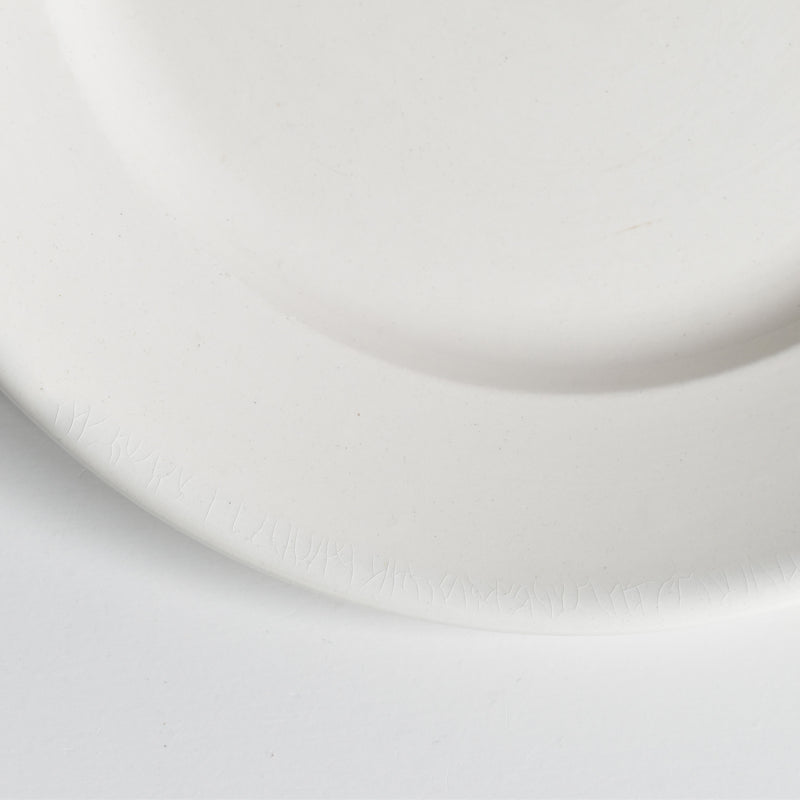 Vintage Plate Digoin & Sarreguemines Epaisse D