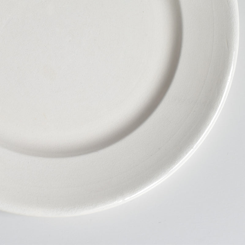 Vintage Plate: Digoin & Sarreguemines Epaisse E