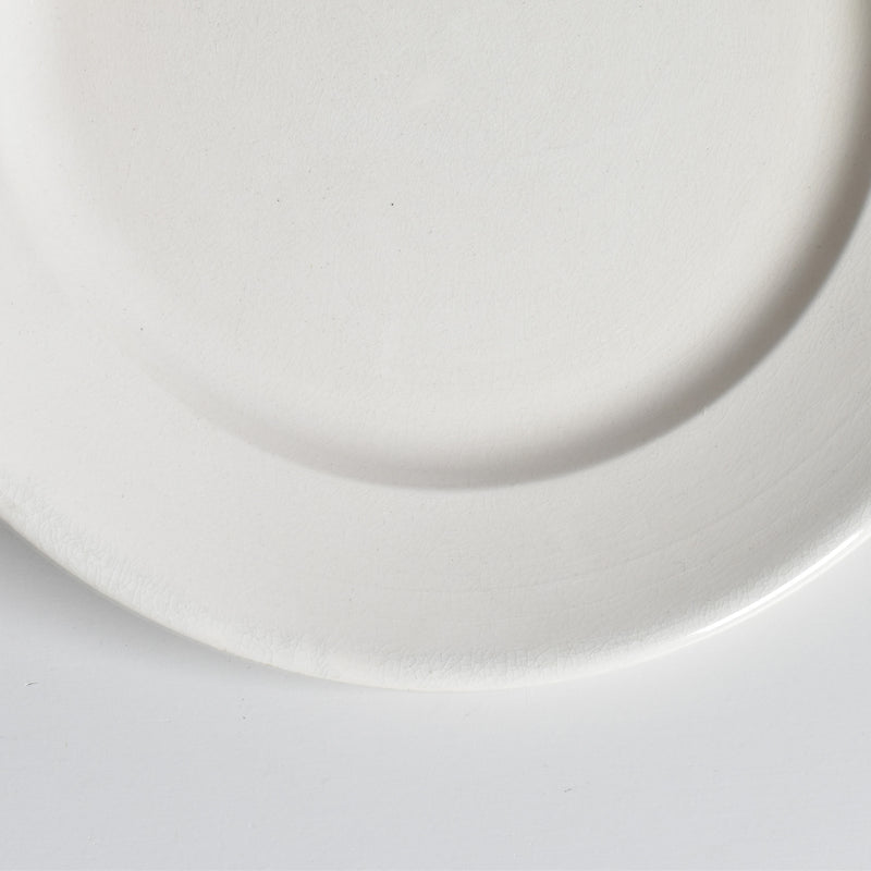 Vintage Plate: Digoin & Sarreguemines Epaisse E