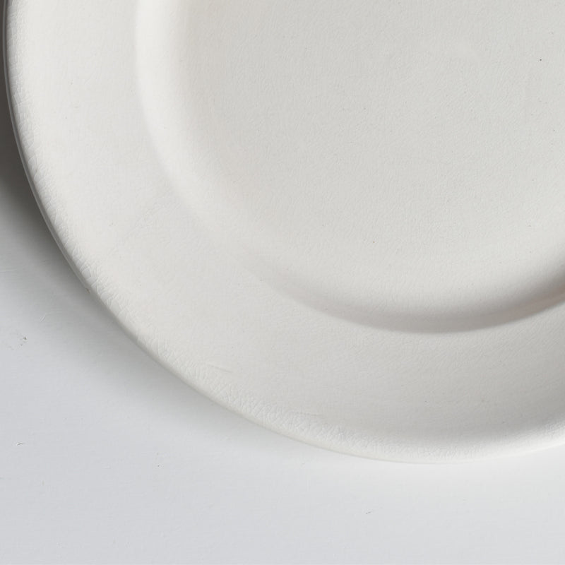 Vintage Plate: Digoin & Sarreguemines Epaisse E