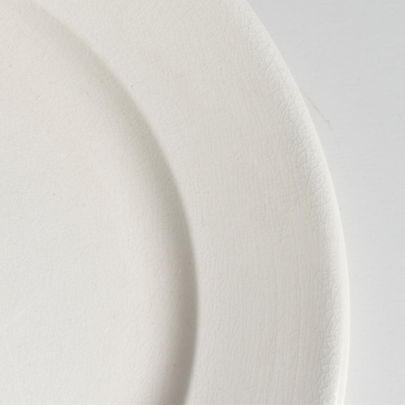 Vintage Plate: Digoin & Sarreguemines Epaisse E
