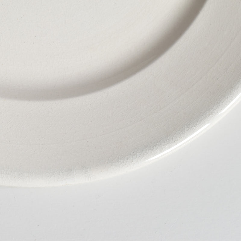 Vintage Plate: Digoin & Sarreguemines Epaisse E