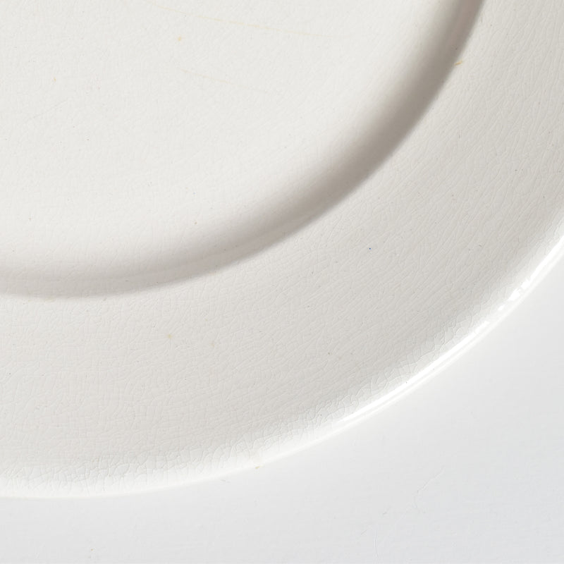 Vintage Plate Digoin & Sarreguemines Epaisse F