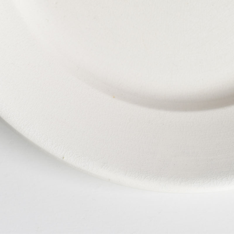 Vintage Plate Digoin & Sarreguemines Epaisse F