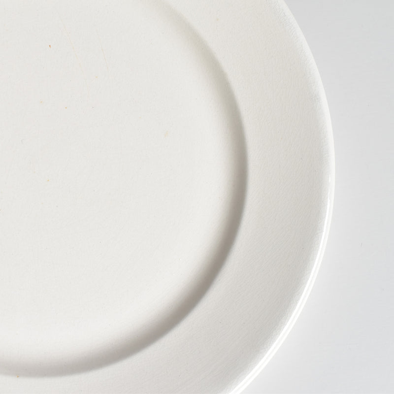 Vintage Plate Digoin & Sarreguemines Epaisse F