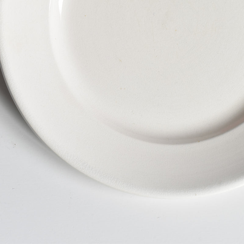 Vintage Plate Digoin & Sarreguemines Epaisse F