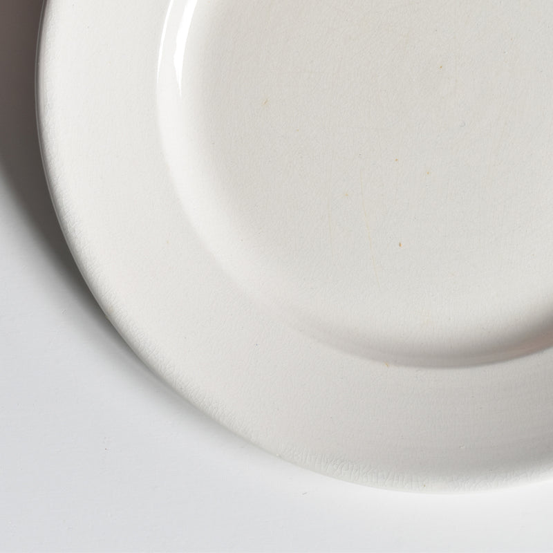 Vintage Plate Digoin & Sarreguemines Epaisse F