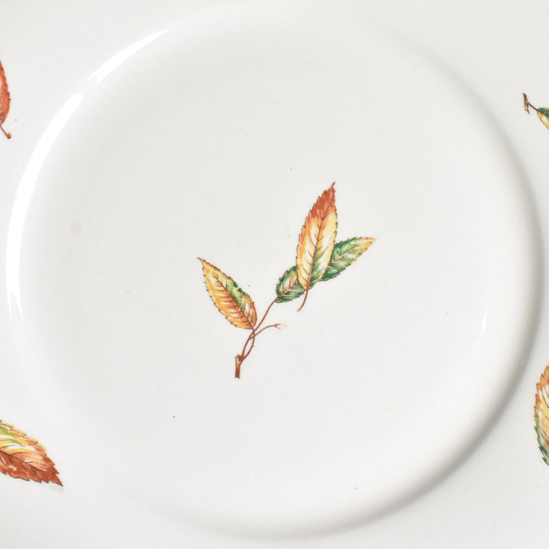 Vintage Plate Digoin & Sarreguemines Nemours A