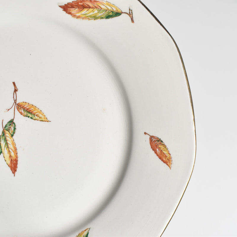 Vintage Plate Digoin & Sarreguemines Nemours A