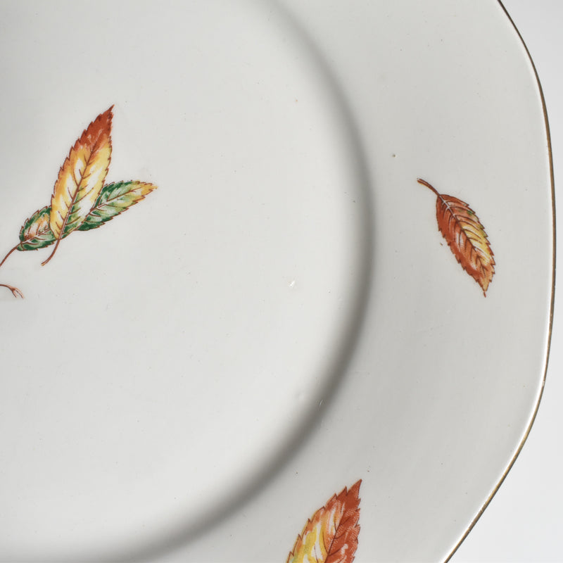 Vintage Plate Digoin & Sarreguemines Nemours B