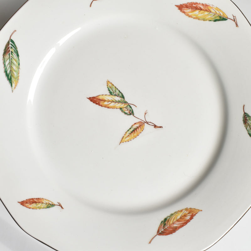 Vintage Plate Digoin & Sarreguemines Nemours B