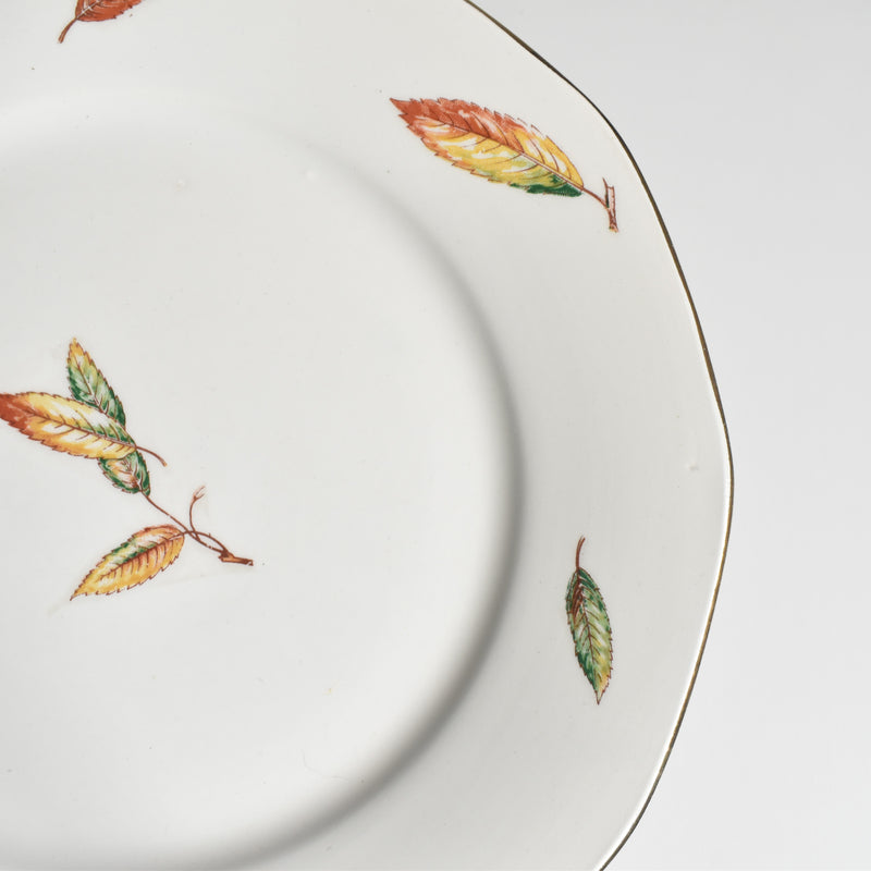 Vintage Plate Digoin & Sarreguemines Nemours B