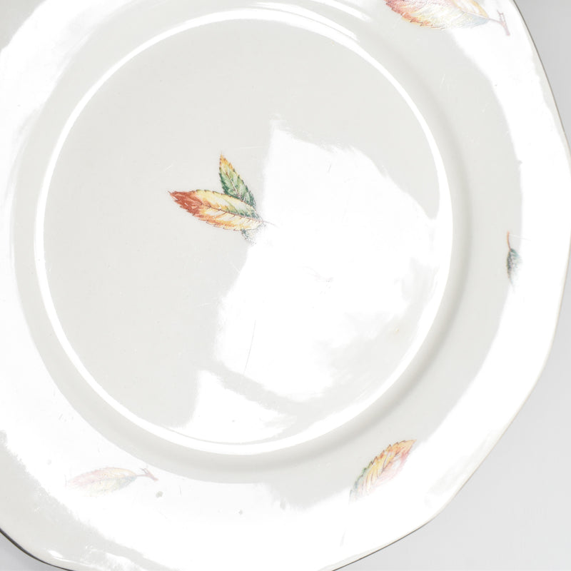 Vintage plate Digoin & Sarreguemines Nemours C