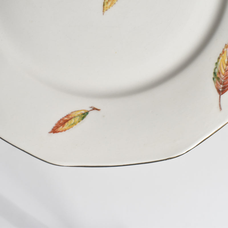 Vintage plate Digoin & Sarreguemines Nemours C