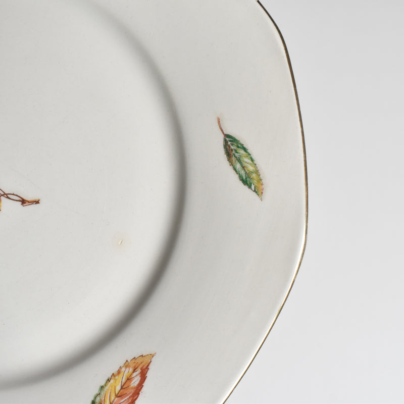 Vintage plate Digoin & Sarreguemines Nemours C