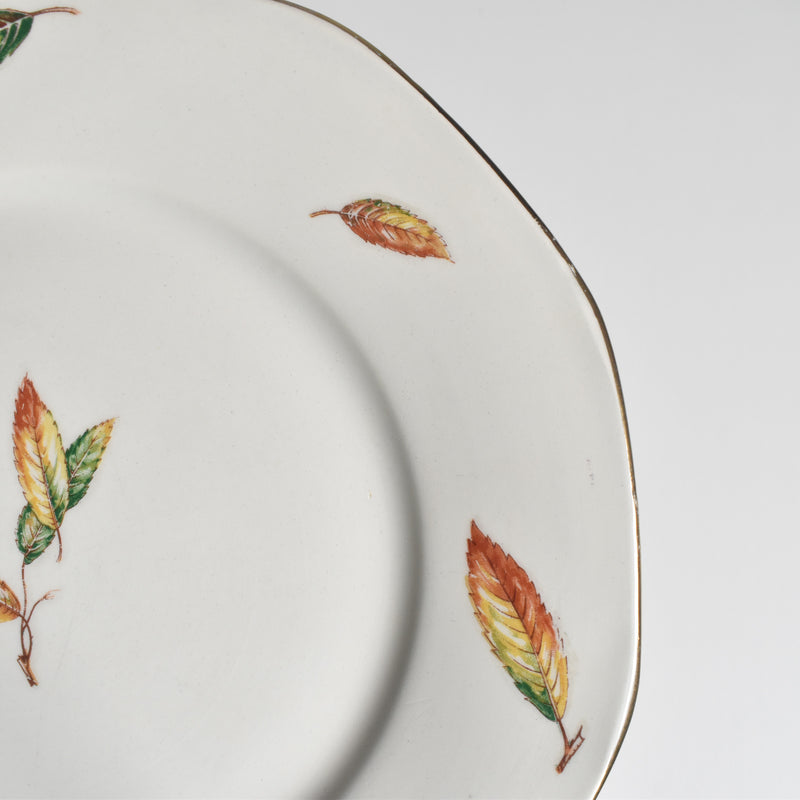 Vintage plate Digoin & Sarreguemines Nemours C