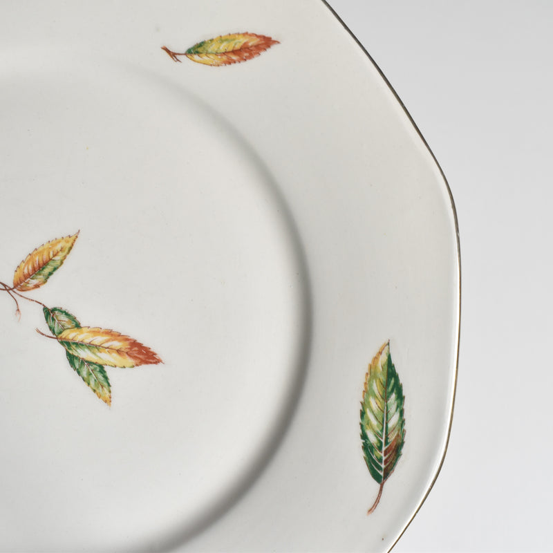 Vintage plate Digoin & Sarreguemines Nemours C