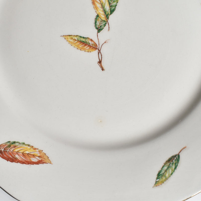 Vintage plate Digoin & Sarreguemines Nemours C