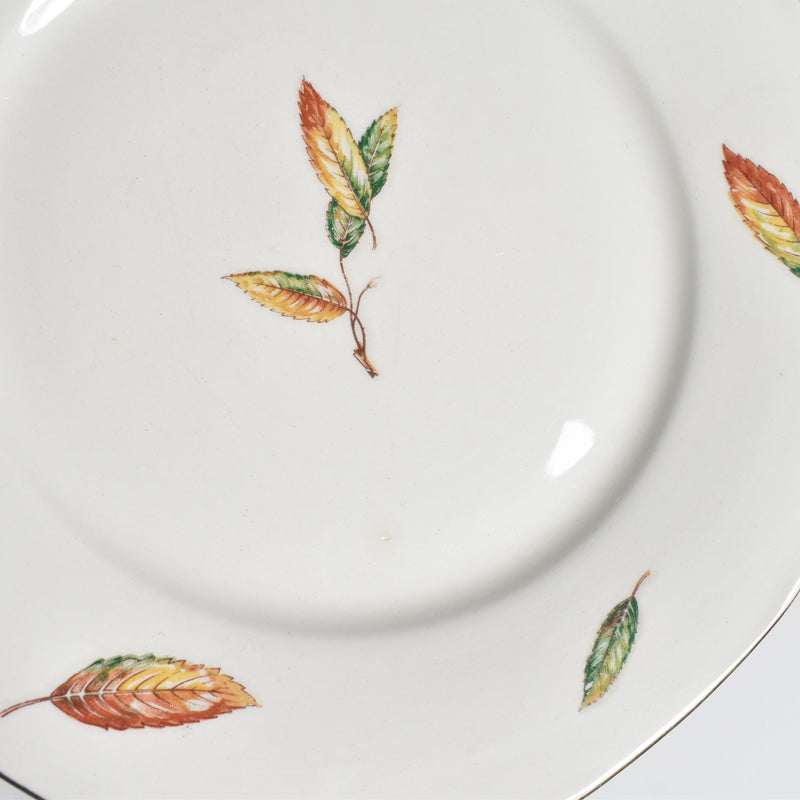 Vintage plate Digoin & Sarreguemines Nemours C