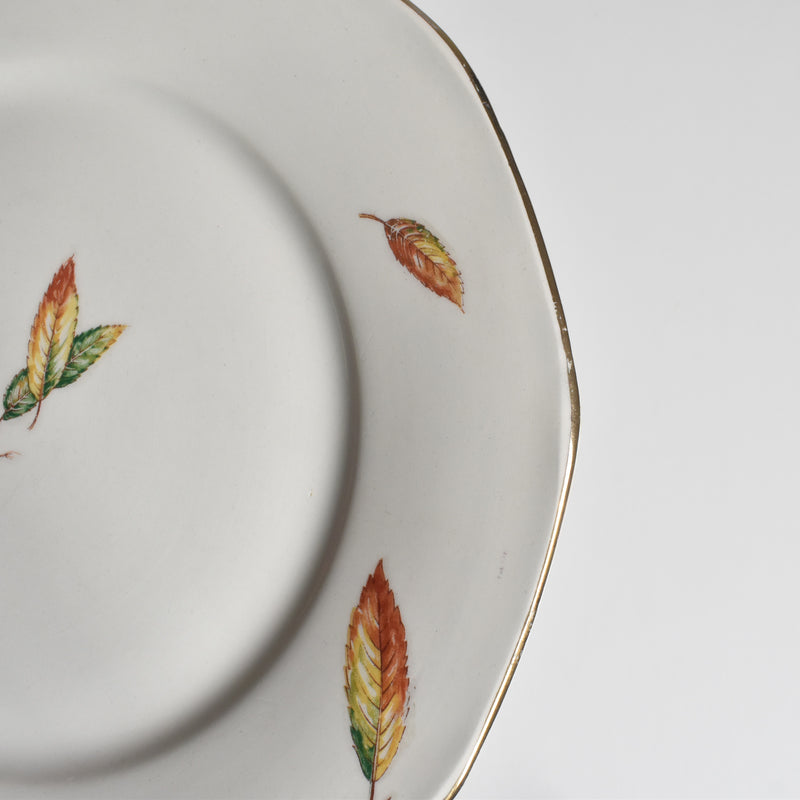 Vintage plate Digoin & Sarreguemines Nemours C