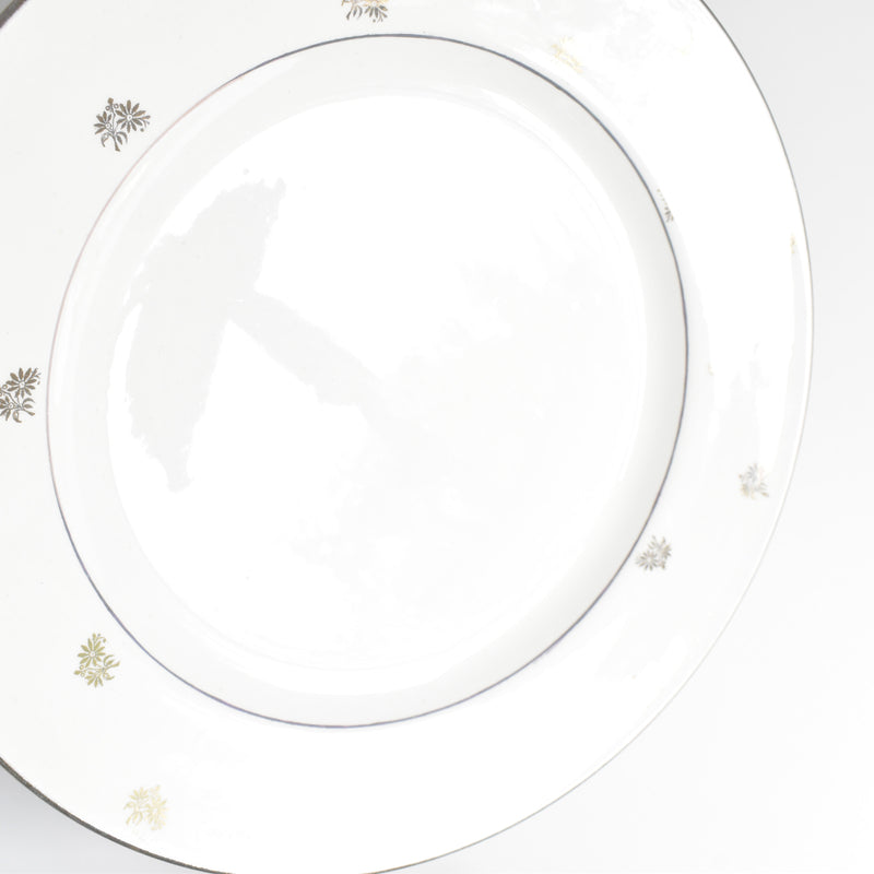 Vintage Plate Digoin & Sarreguemines Nico B