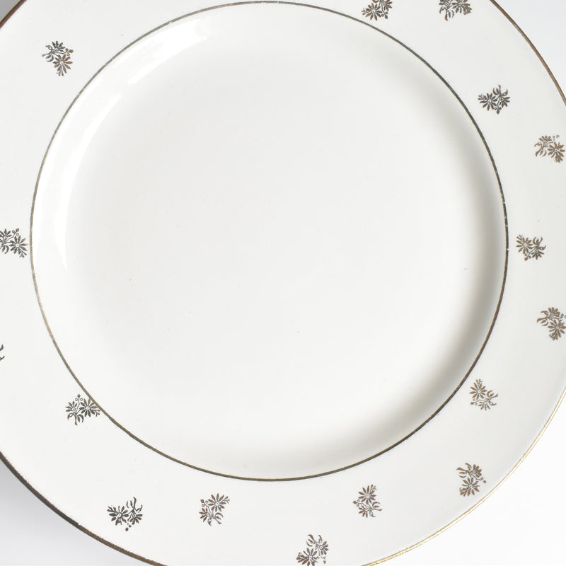 Vintage Plate, Digoin & Sarreguemines "Nico C"