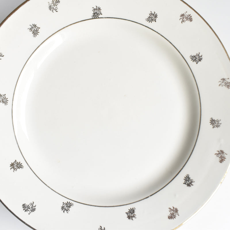 Vintage Plate Digoin & Sarreguemines Nico D