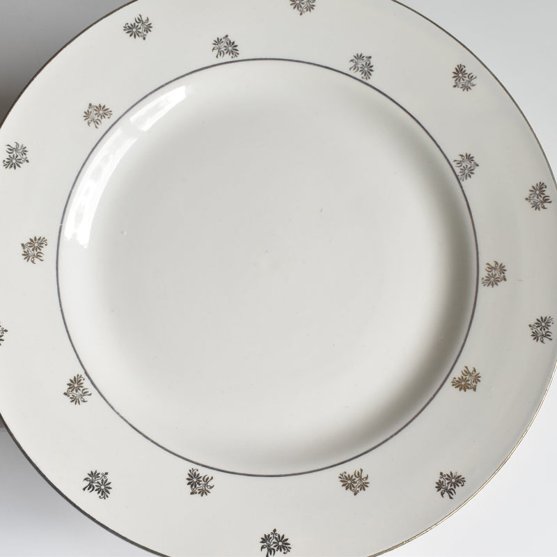Vintage Plate Digoin & Sarreguemines Nico F